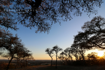 Prescott Ranch Blanco Texas